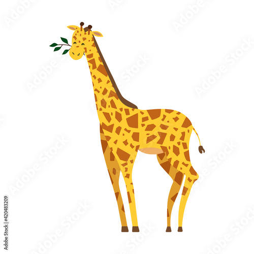 Fototapeta Naklejka Na Ścianę i Meble -  Cute giraffe