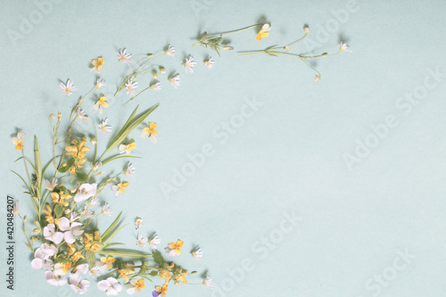 wild flowers on paper background