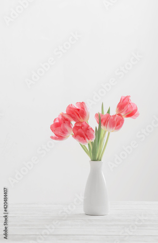 spring tulips in white vase on white background