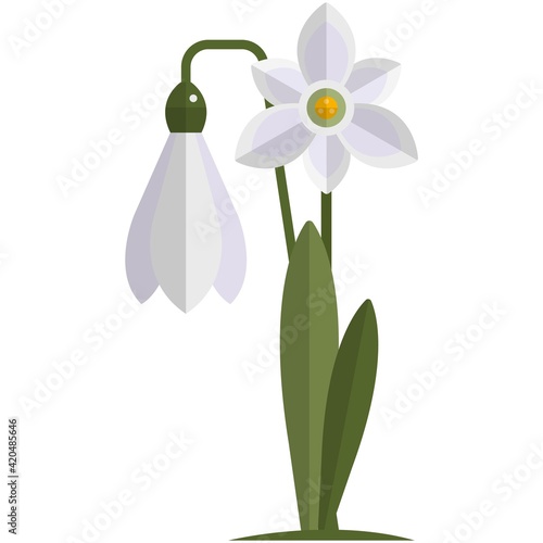 Snowdrop flower vector spring plant icon illustration
