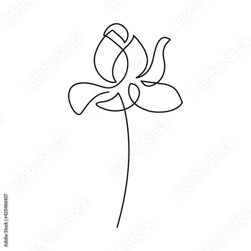 Lotus flower in continuous line art drawing style. Minimalist black linear design isolated on white background. Vector illustration