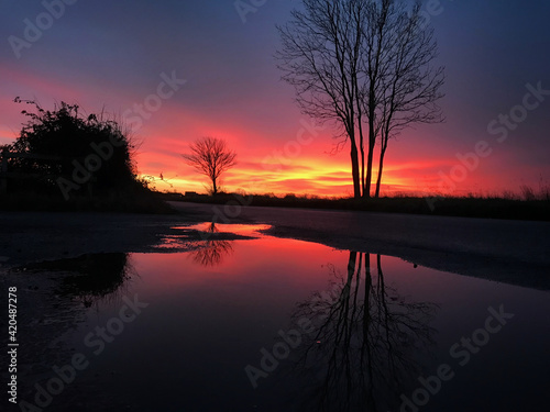 Stunning Sunrise with trees reflections