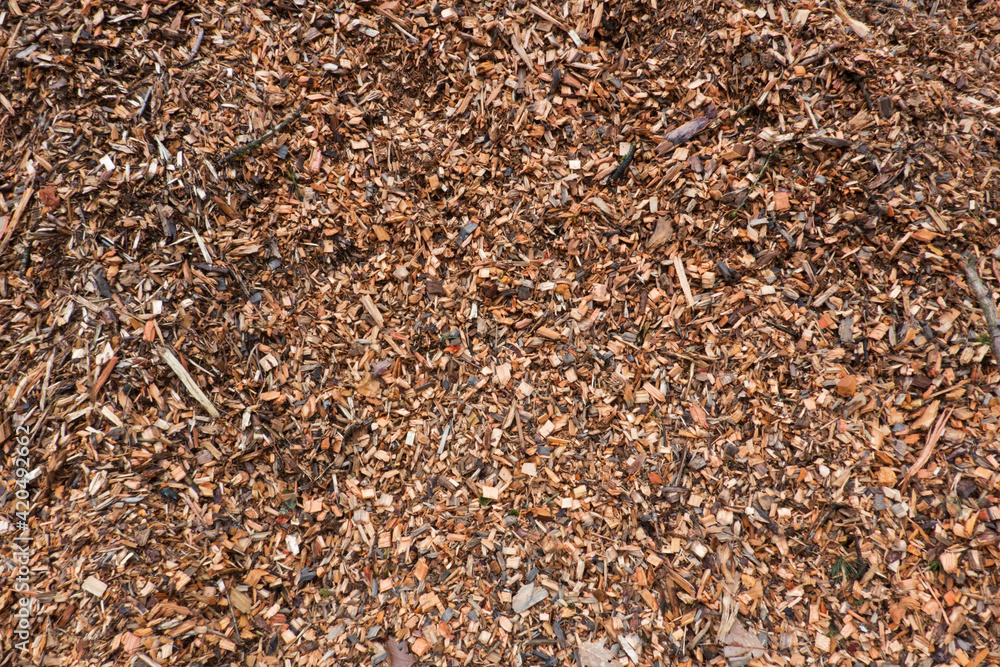 Pile of woodchips, detail, feedstock for a biomass power plant Pile of woodchips, detail, feedstock for a biomass power plant