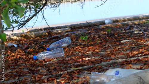 Plastic bottle waste along the sea beach