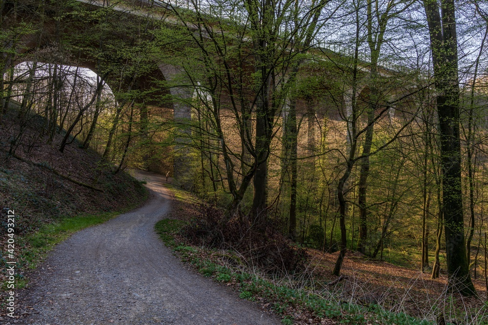 Naklejka premium View at the A3 motorway bridge crossing the Angertal in Ratingen, North Rhine-Westphalia, Germany