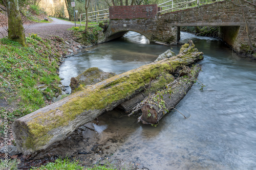 A tree trunk in the Angerbach with the footbridge in the background, seen near Ratingen, North Rhine-Westphalia, Germany photo