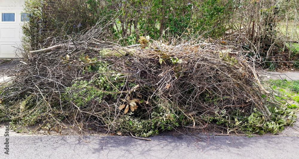 Pile of spring pruning limbs and branches. Pile of spring pruning limbs and branches.
