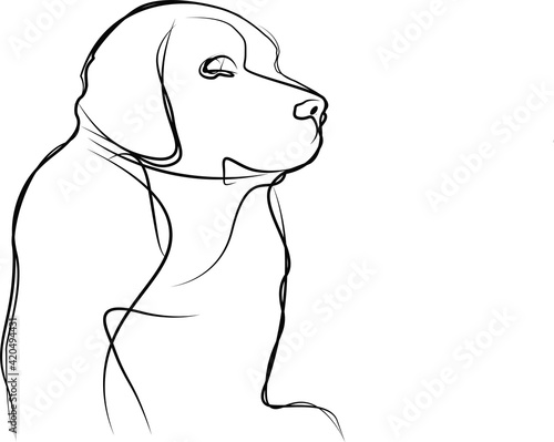 Line art illustration of black labrador retriever on white