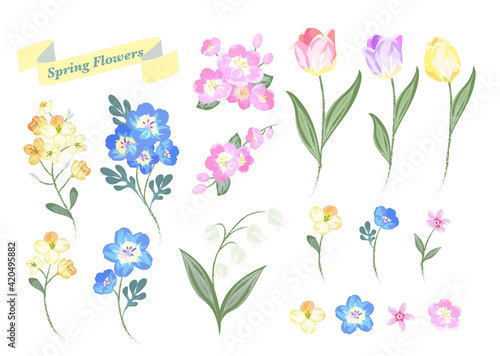 spring flowers © birne