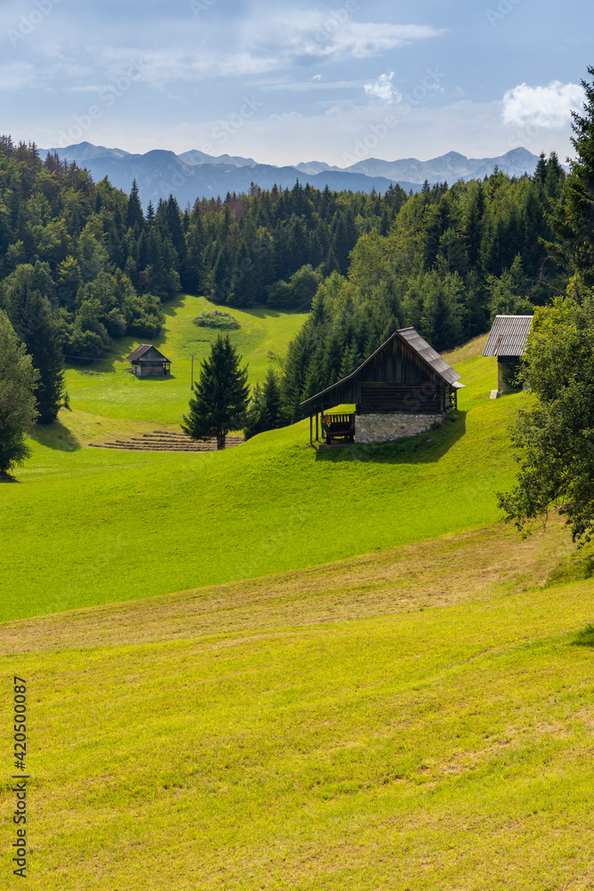 Triglavski national park near Bohinj lake, Slovenia Triglavski national park near Bohinj lake, Slovenia