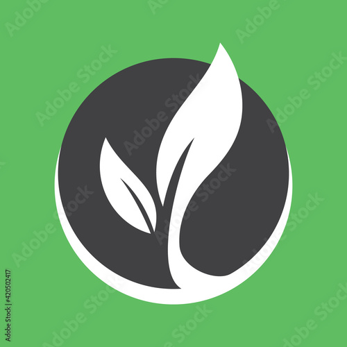 Plant and leaves icon. Leaf symbol of ecology, enviroment and nature. Vegetarian and vegan pictogram design.