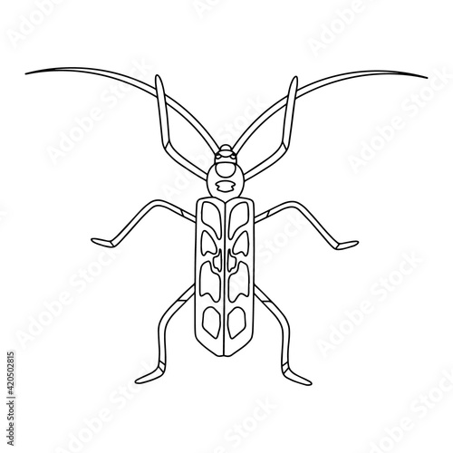 Beetle-insect coloring book. Alpine barbel beetle linear vector illustration . Anti-stress coloring book for adults and children. Hand-drawn doodle coloring page