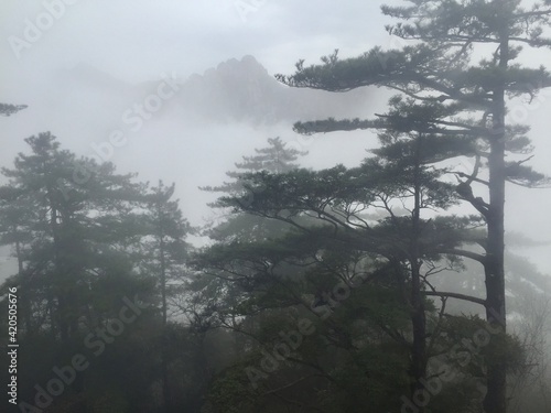 China Mount HuangShan - April, 2015: Natural scenery, sunsets, peculiarly-shaped granite peaks, Huangshan pine trees and views of the clouds from above. Photo taken in Yellow Mountain (UNESCO).