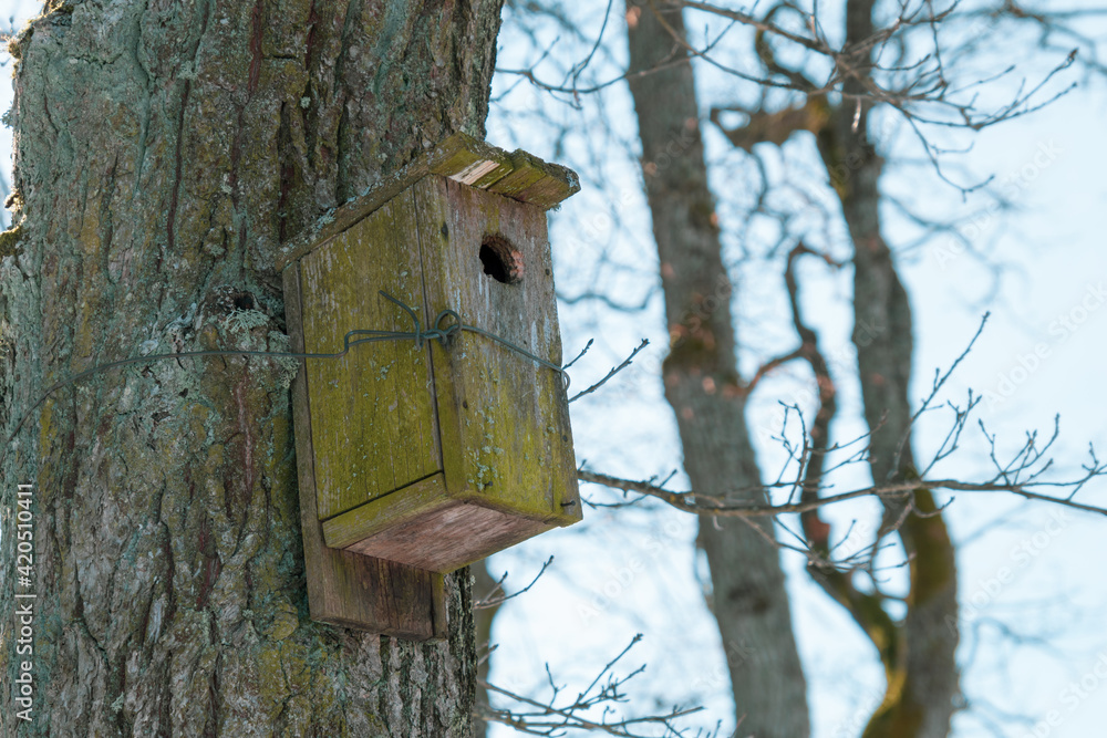 An old bird house attached to a tree with a wire.