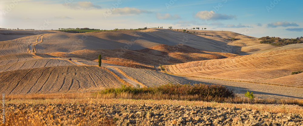 Panoramic view of farmed, rolling hills in Tuscany countryside, Montalcino, Italy