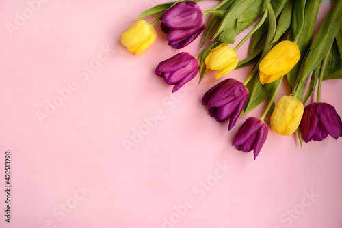 Fototapeta Naklejka Na Ścianę i Meble -  Yellow and lilac tulips on a pink background, copy space. Top view