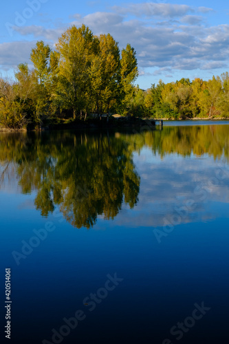 reflets étangs