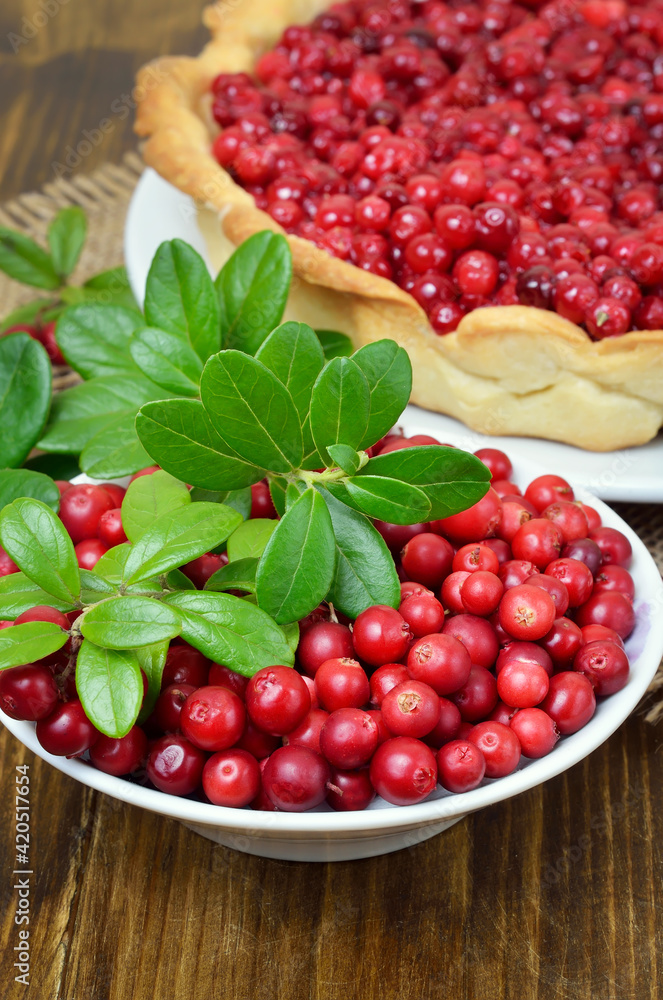 Ripe lingonberry in bowl Ripe lingonberry in bowl