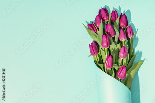 Creative layout made of spring tulip flowers on blue paper background, flat lay, copy space #420518465