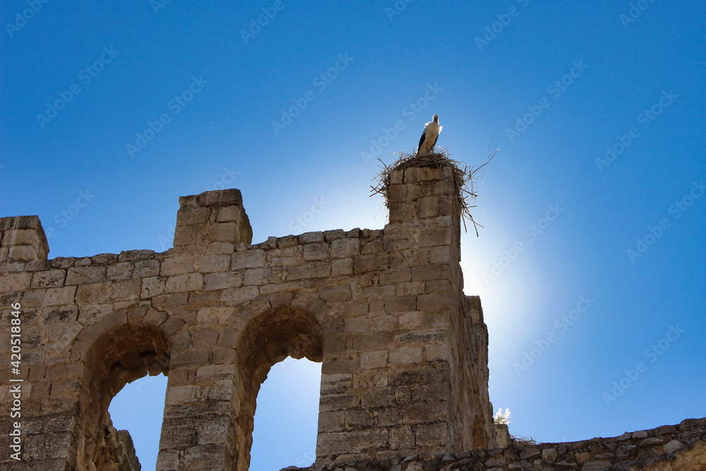 Medieval ruins of Santa Eulalia church.
This church was built between XIII and XV centuries. It´s a gothic ruin building situated in northern Spain in a medieval village called Palenzuela. 
