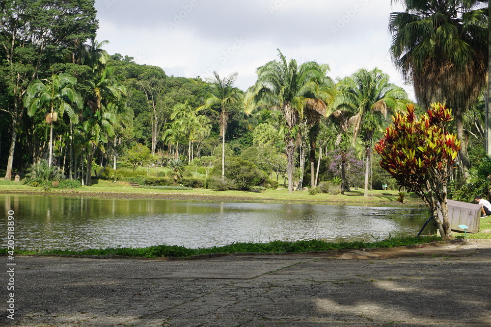 Fototapeta premium Brazilian lake
