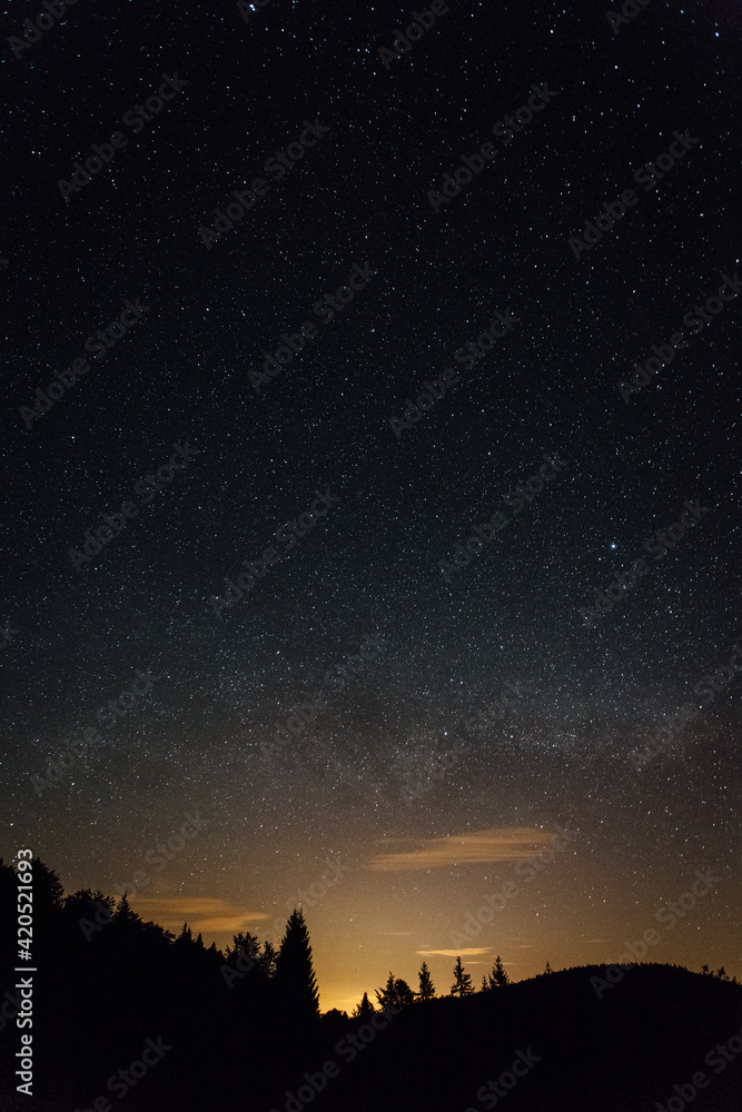 Forest Under A Starry Night Forest Under A Starry Night