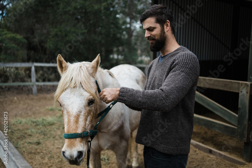 removing halter from horse photo