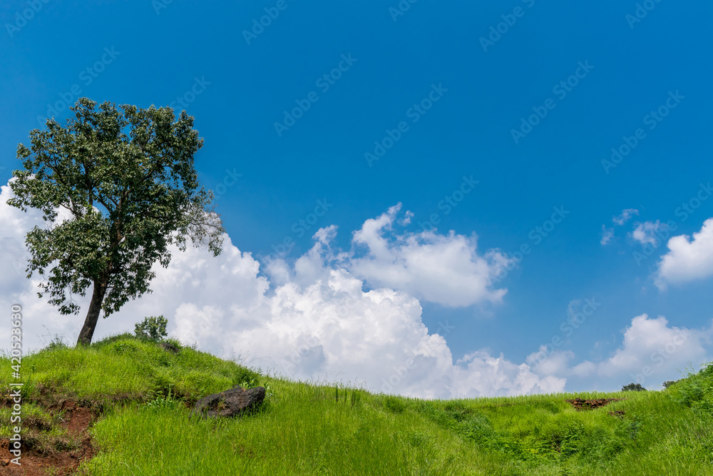 Low angle view of lush green landscape with blue sky and clouds on a bright Summer day at Thoseghar, Satara, Maharashtra, India Low angle view of lush green landscape with blue sky and clouds on a bright Summer day at Thoseghar, Satara, Maharashtra, India