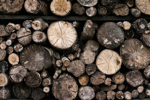 Stack of dry logs on shelves
