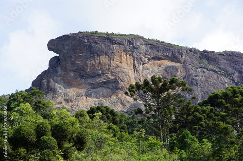 brazilian mountain nature © Larissa