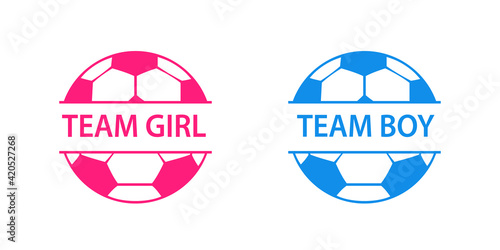 Pink and blue split soccer ball gender reveal icon. Clipart image isolated on white background