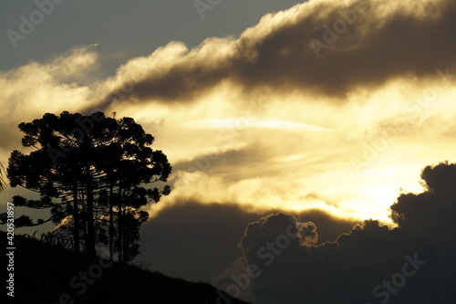 brazilian mountain sunset