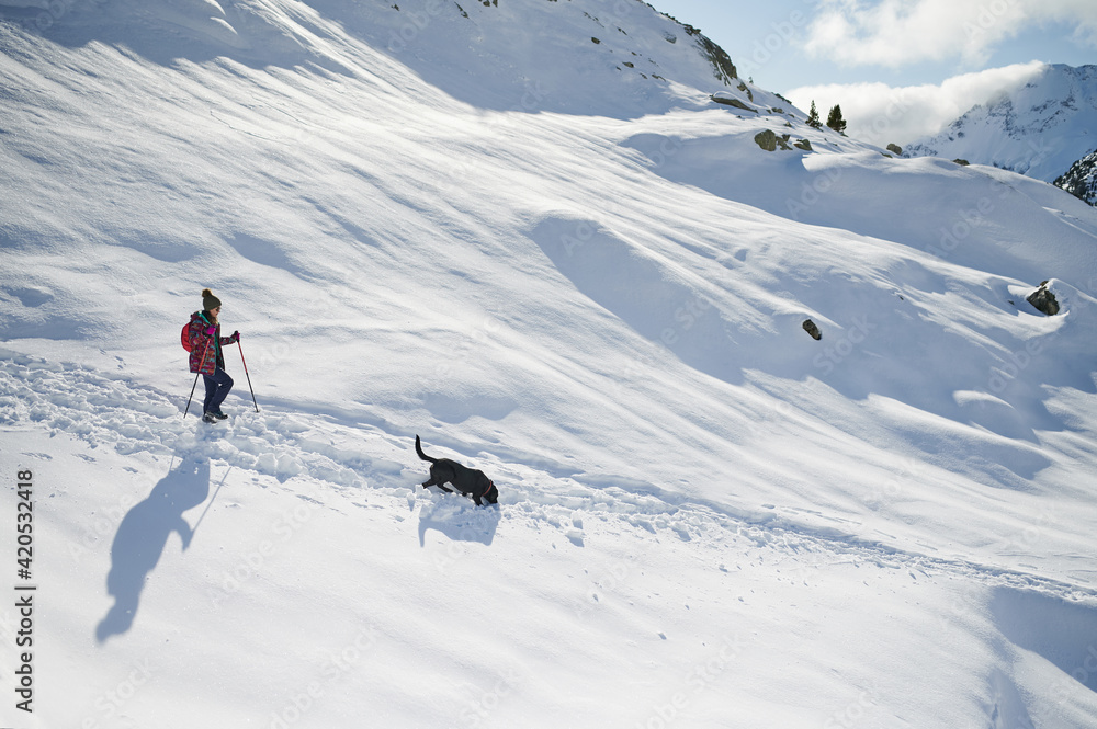 Traveler with dog walking in snowy mountains Traveler with dog walking in snowy mountains