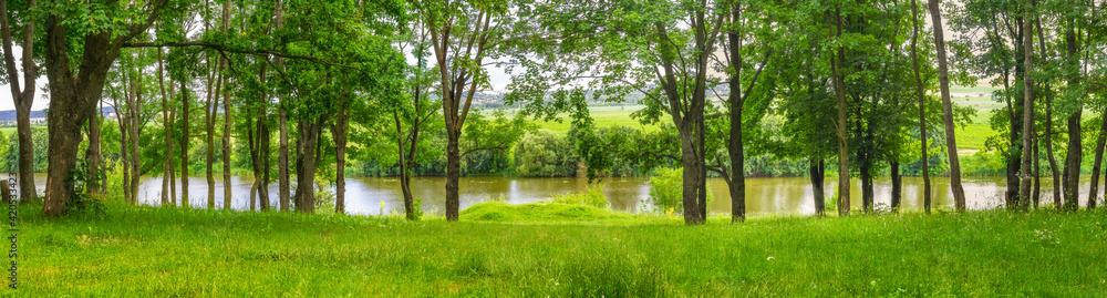 Summer landscape, panorama, with trees along the river Summer landscape, panorama, with trees along the river