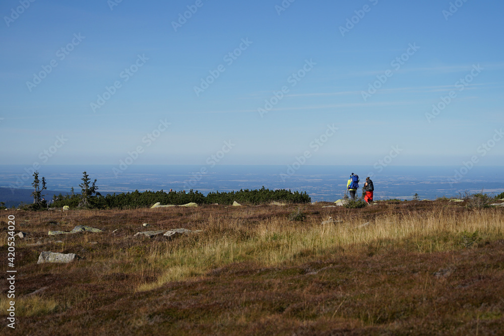 Couple of hikers with baby carrier walking on meadow in Giant Mountains on beautiful summer sunny day, hiking with baby concept