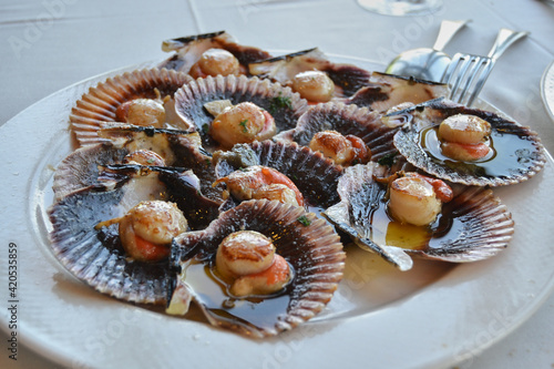 grilled scallops