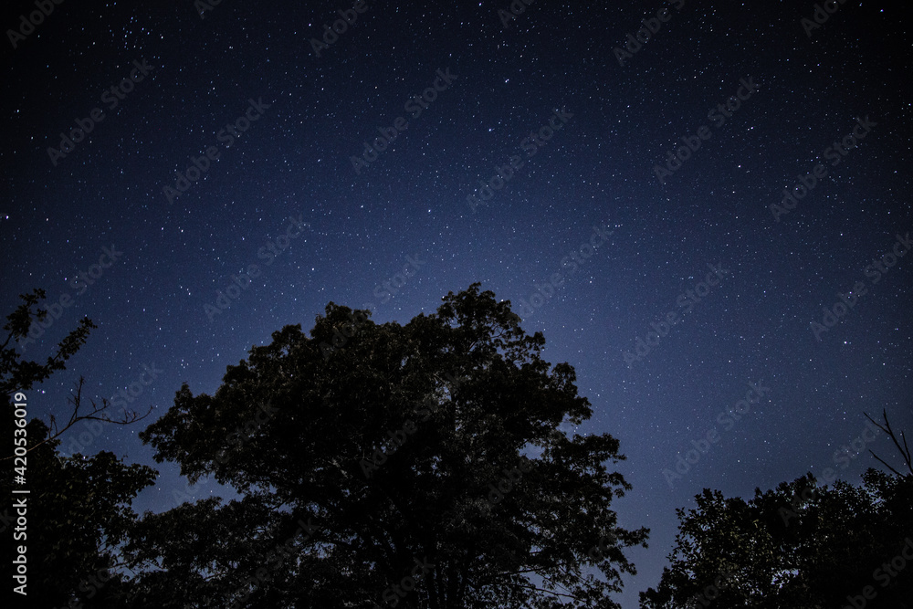 starry night sky starry night sky