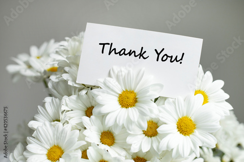 Fotografie Thank You message with daisies