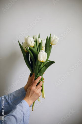 bouquet of white tulips in female hands on a background of a white wall. mother's day and international women's day. spring symbol and flower gift