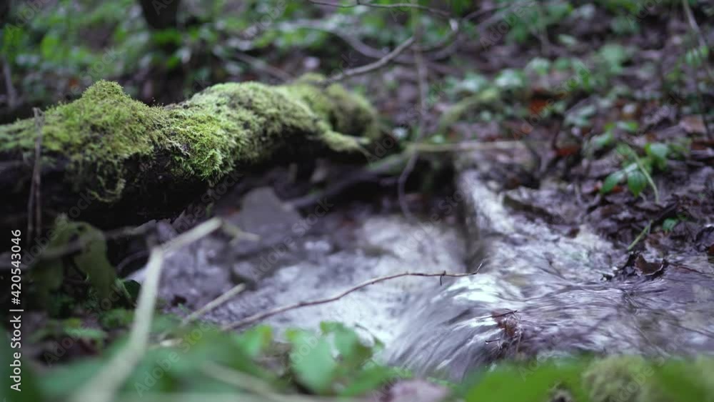 Spring morning after rain. Narrow forest stream and small waterfall among stones and trees. Relaxing water sound on background Spring morning after rain. Narrow forest stream and small waterfall among stones and trees. Relaxing water sound on background