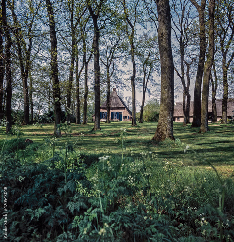 Historic farmhouse Havelte Busselte Netherlands. photo