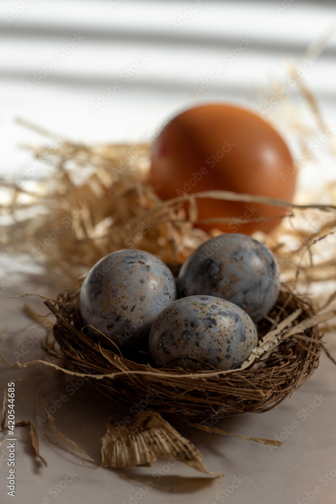 Three small blue eggs in the nest with one big Easter egg with the hay Three small blue eggs in the nest with one big Easter egg with the hay