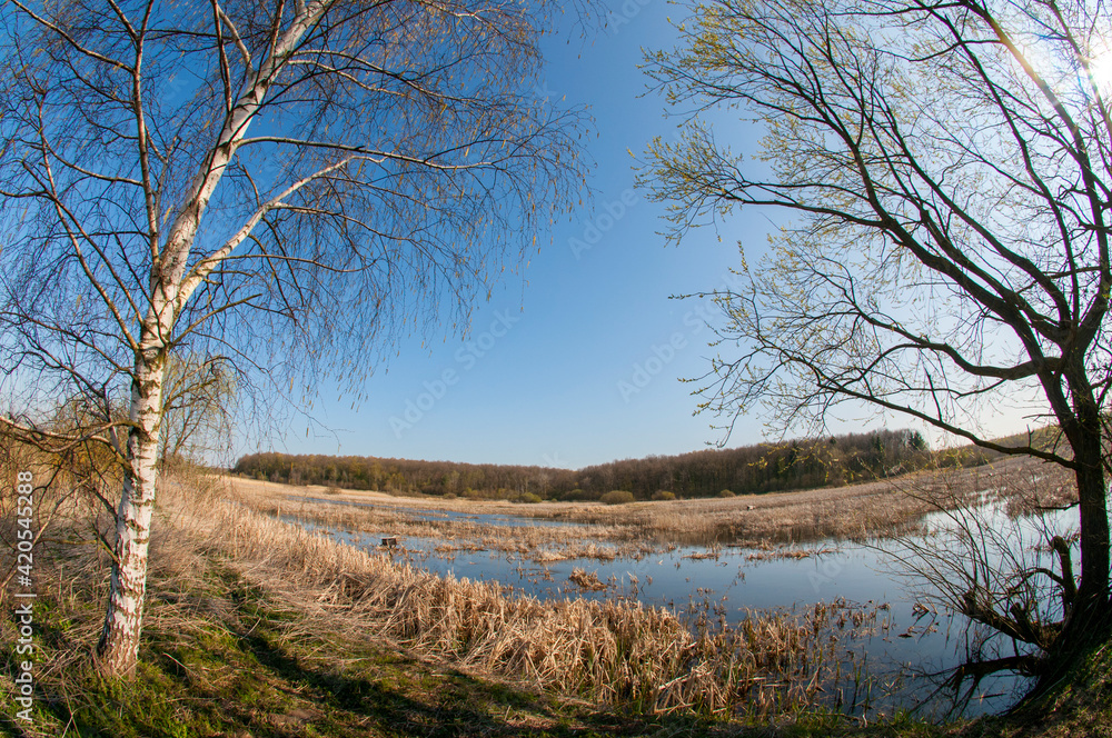 Spring panorama of a forest lake against a background of blue sky and distant mountains Spring panorama of a forest lake against a background of blue sky and distant mountains