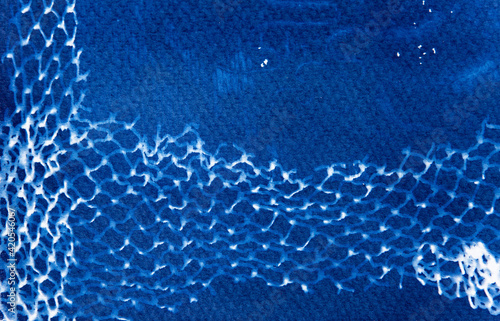 Net cyanotype contact print. photo