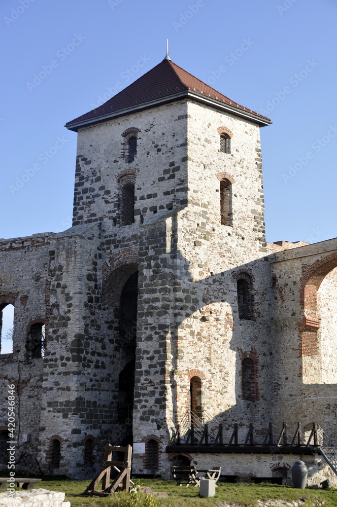 Zamek Tenczyn w Rudnie w Małopolsce