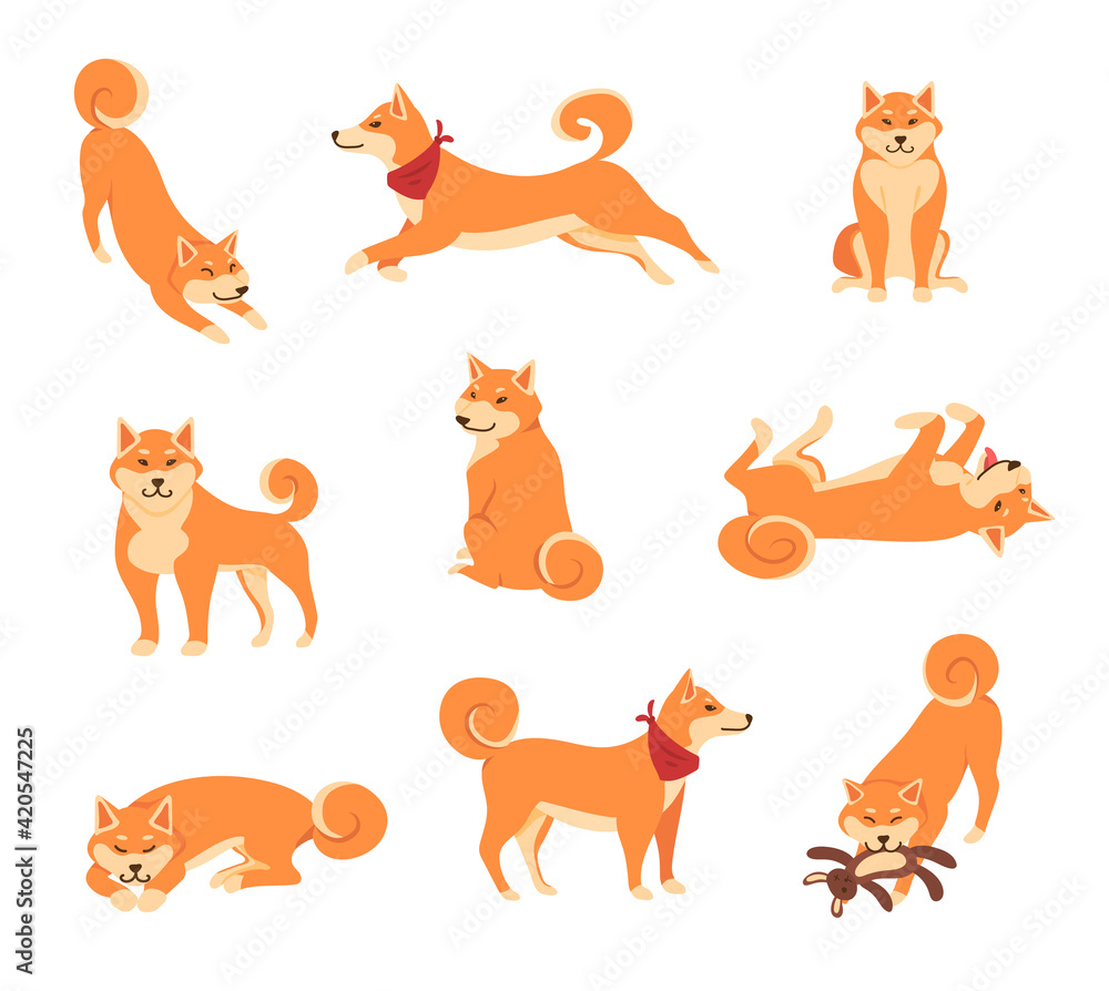 Cartoon Color Characters Kawaii Shiba Inu Dogs Set. Vector