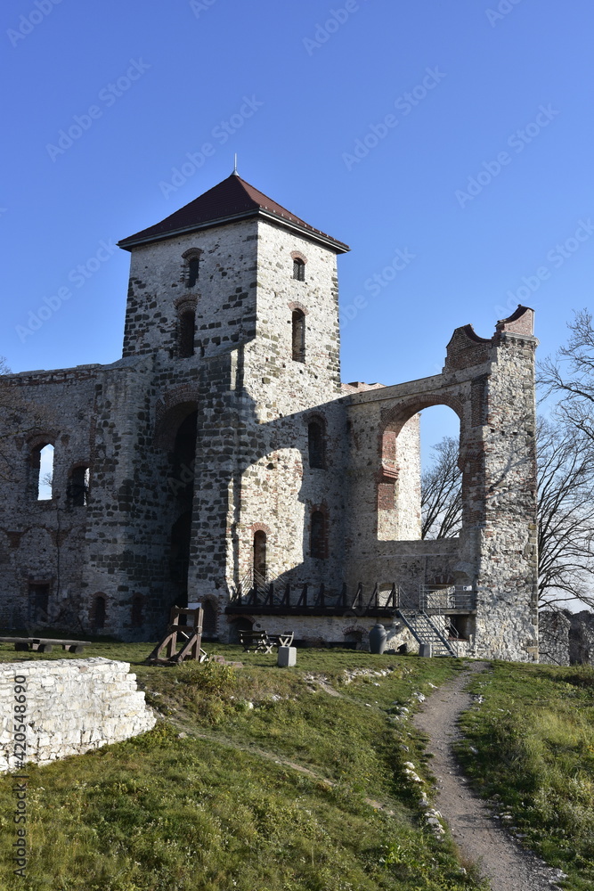 Zamek Tenczyn w Rudnie w Małopolsce