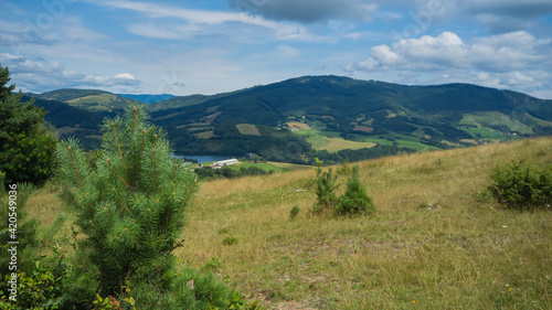 Grassy meadow in the middle of Slovakia.