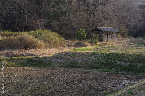 早春三月の田園風景