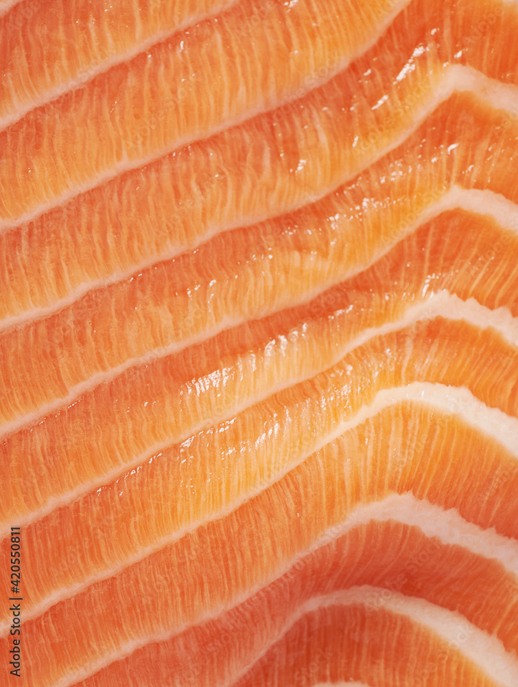 Raw Salmon Closeup Raw Salmon Closeup